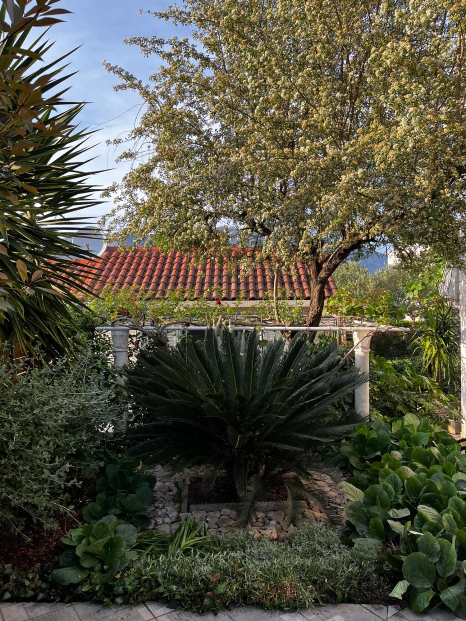 Tianri Apartment Korcula Town Exterior photo
