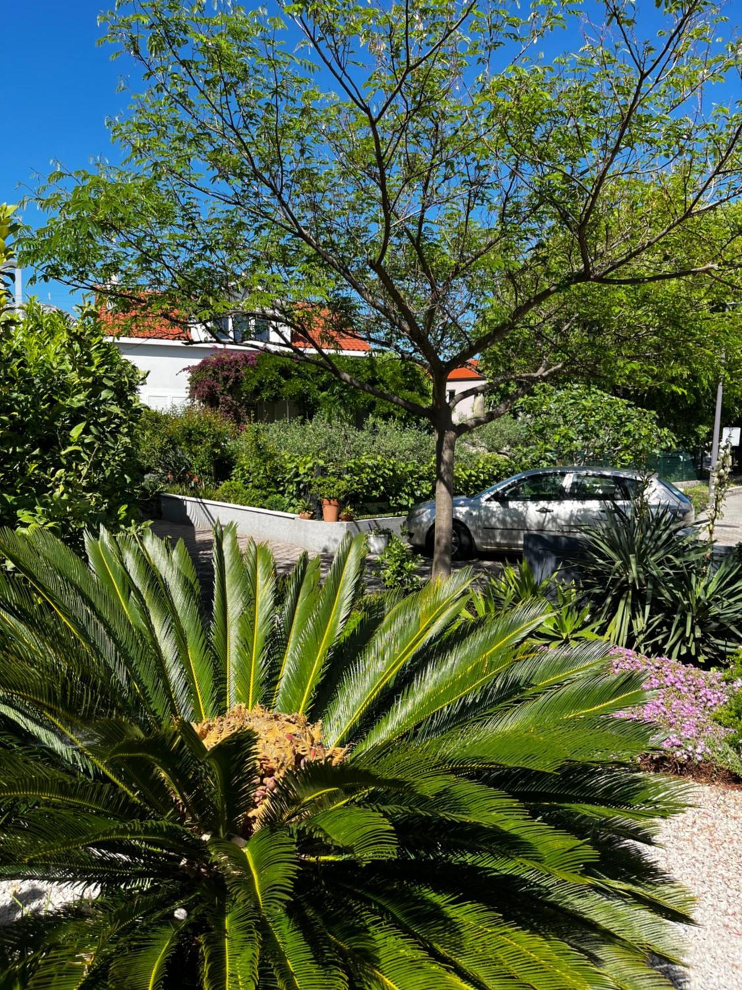 Tianri Apartment Korcula Town Exterior photo